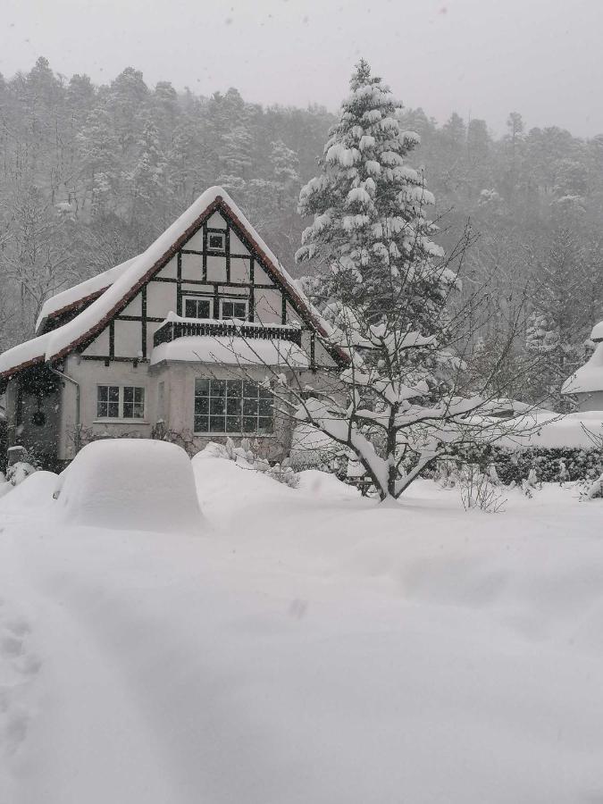 Ferienwohnung Natur Pur Muehlental แวร์นิกโกโรเดอ ภายนอก รูปภาพ